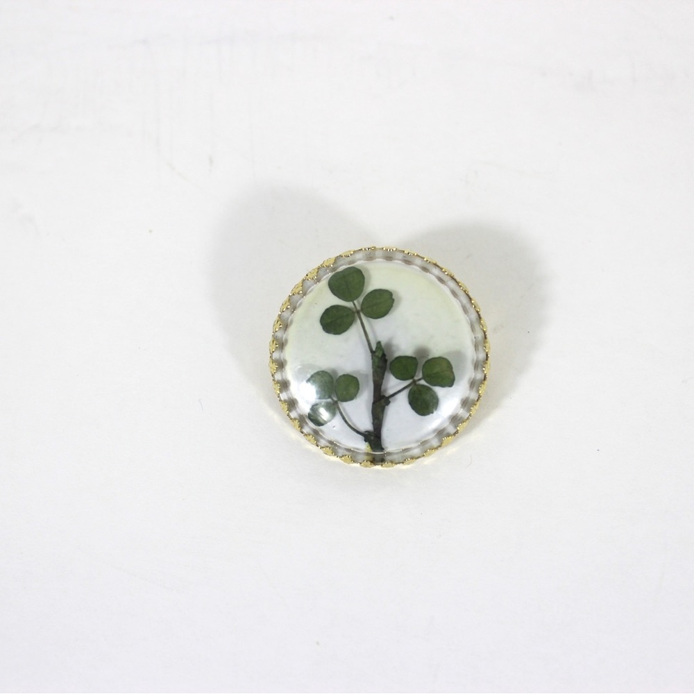 Vintage Clover Brooch, Natural Shamrock Pin Good Luck Irish Captured Lucky